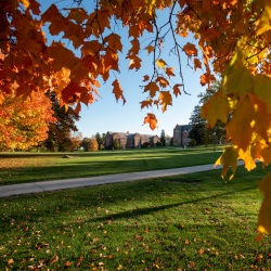 Students walking across the Great Lawn during the fall. Oct. 18, 2022. (Sean Flynn/UConn Photo)